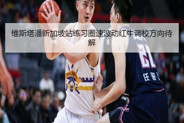 维斯塔潘新加坡站练习圈速波动红牛调校方向待解